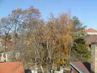 pohled na sever
